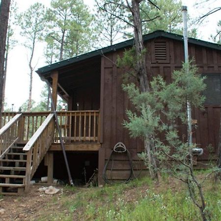 Beary Comfy Cabin 鲁伊多索 外观 照片