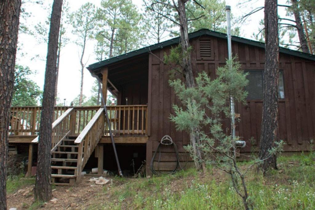 Beary Comfy Cabin 鲁伊多索 外观 照片